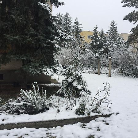 Next To University Debrecen Exteriör bild