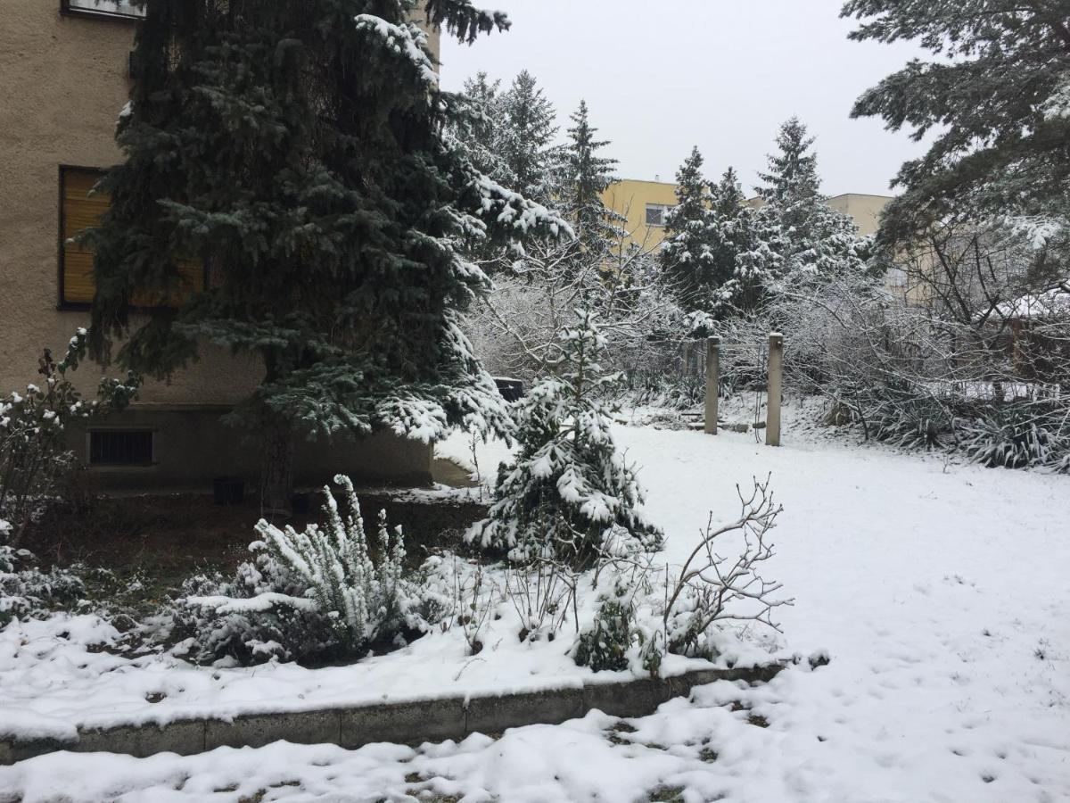 Next To University Debrecen Exteriör bild